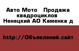 Авто Мото - Продажа квадроциклов. Ненецкий АО,Каменка д.